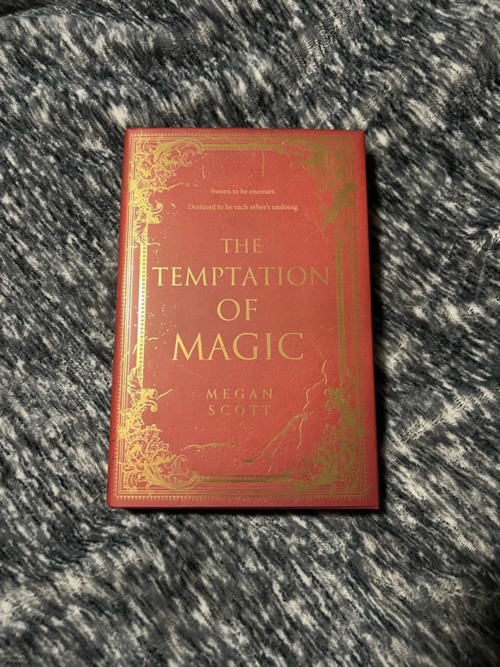 FairyLoot Edition - The Temptation of Magic by Megan Scott